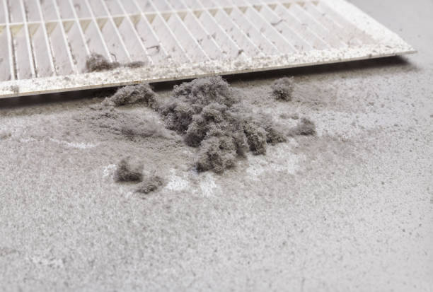Best Professional Duct Cleaning Services  in Delmar, MD