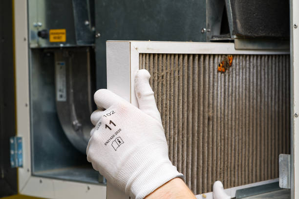 Best Air Duct Cleaning Near Me  in Delmar, MD